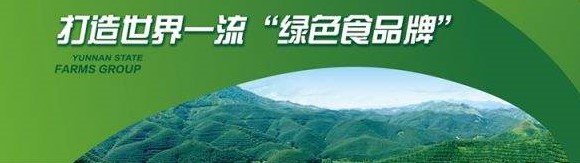 关于征求云南省打造世界一流“绿色食品牌”直通车管理办法修改意见建议的通告