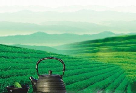 云南省人民政府关于推动云茶产业绿色发展的意见